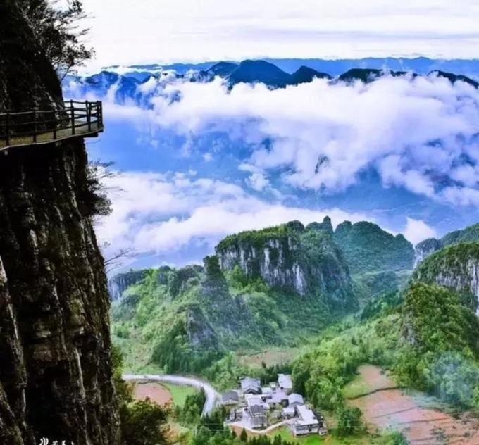 救援蓝色小鱼