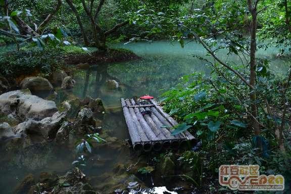 大雨林逃生