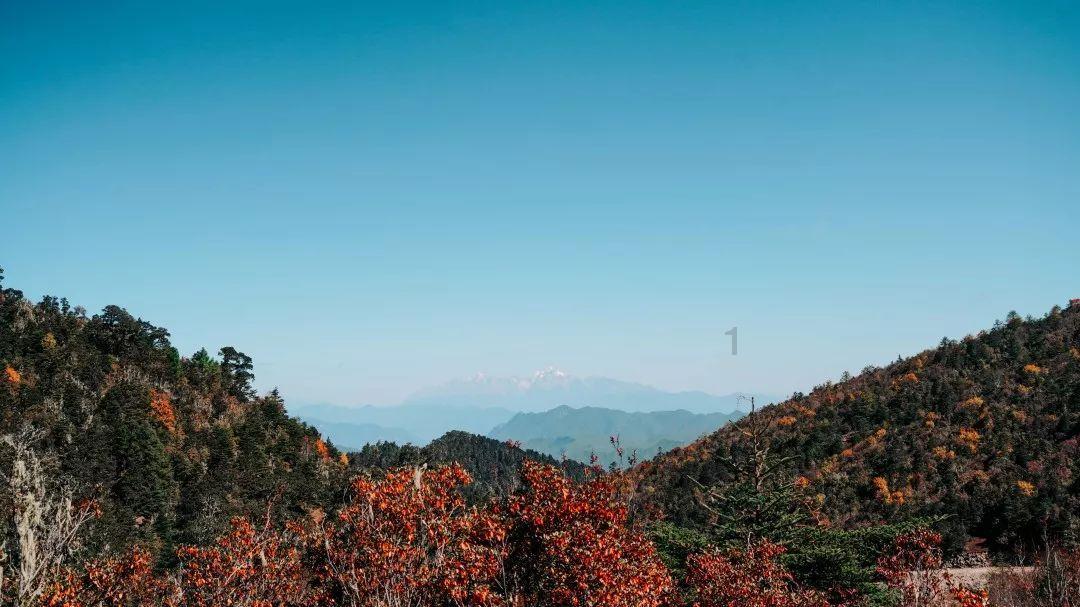 王柠：是《卧虎藏龙》里原定的玉娇龙，50岁长相被嘲丑，她是个好妈妈